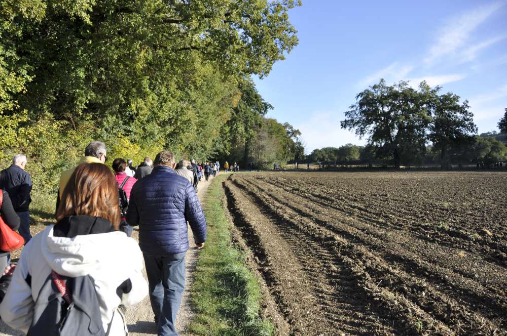 Belli pimpanti, impegnati in una sana passeggiata