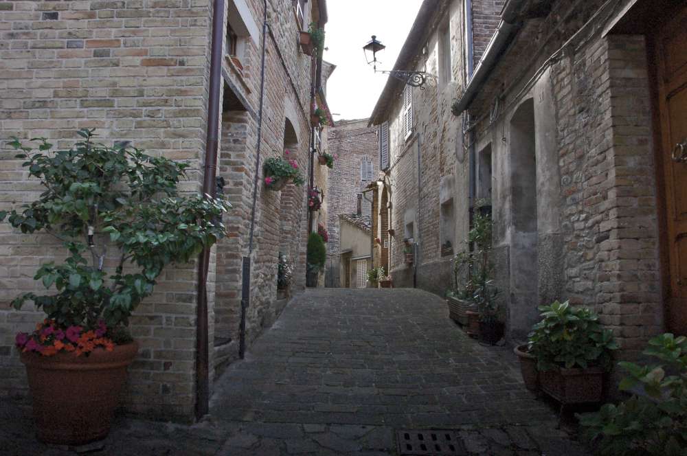064-DSC4569---Cosentino
